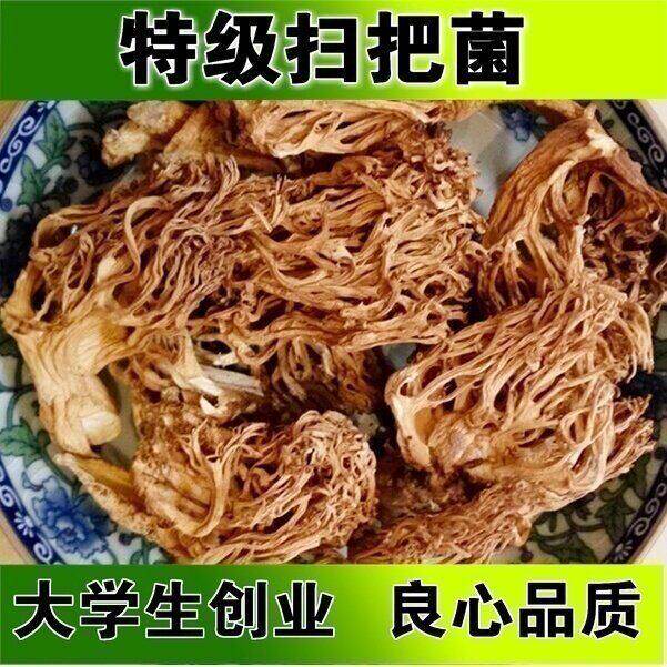 精选野生珊瑚菌 扫把菌干货刷把菌100g野生菌云南土特产蘑菇包邮