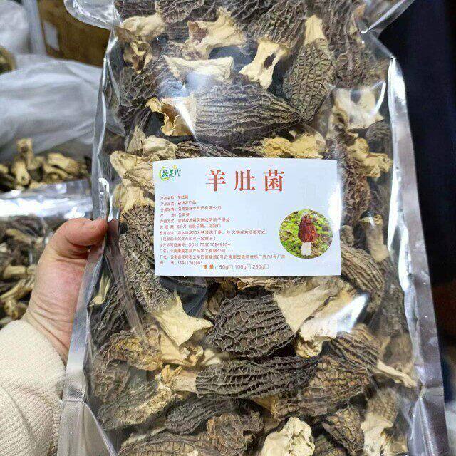 新货头茬羊肚菌500克肉质厚实 丑羊肚菌云南高原羊肚菌野生菌煲汤