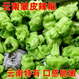 云南新鲜皱皮辣椒250g 皮薄脆青椒炒野生菌牛肝菌搭配上美味加倍