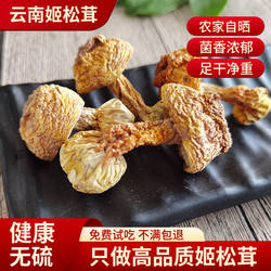云南野生姬松茸干货100g 巴西蘑菇牛肝菌松茸包邮云南特产 野生菌