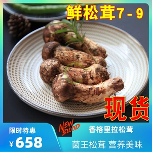 现货新鲜野生松茸500克7-9cm云南香格里拉大松茸非干货野生松茸菌