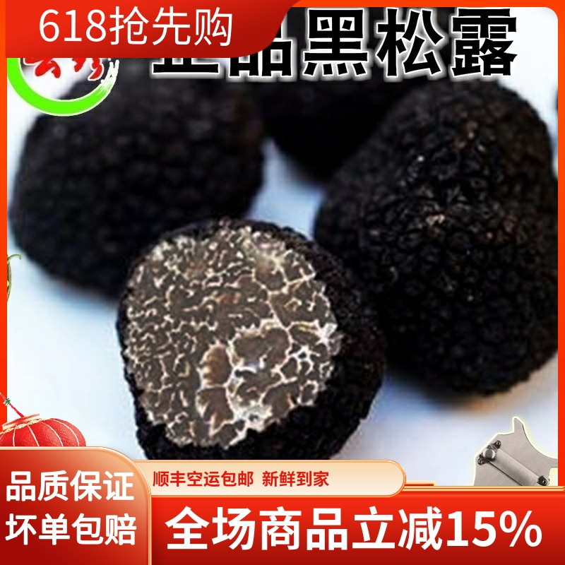 现货新鲜松露500g云南野生菌正品贡山块菌白松露猪拱菌成熟黑松露