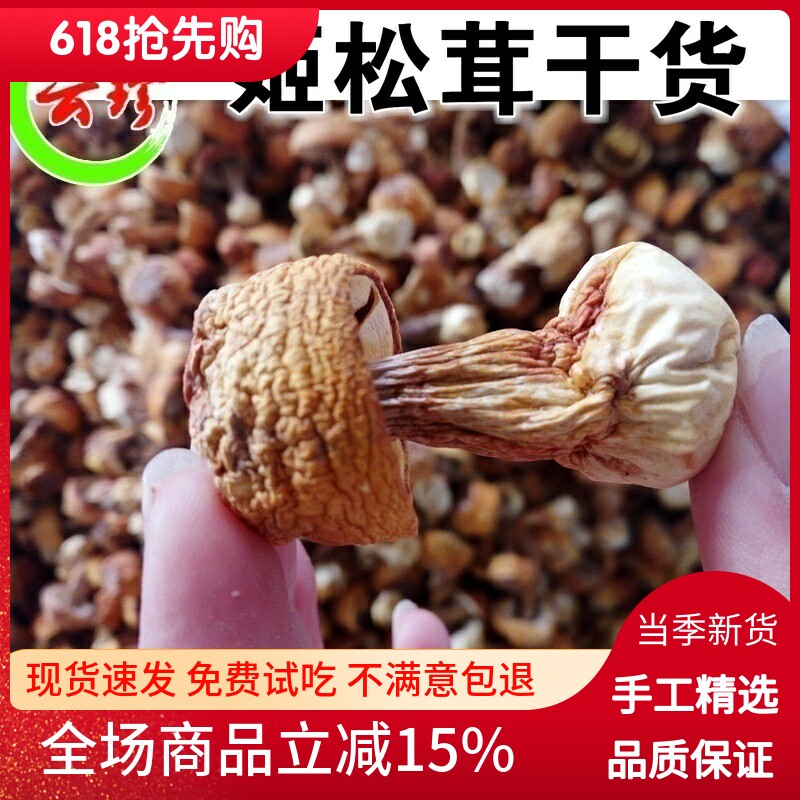 云南牛肝菌云南野生姬松茸干货100g 巴西蘑菇牛肝菌松茸包邮