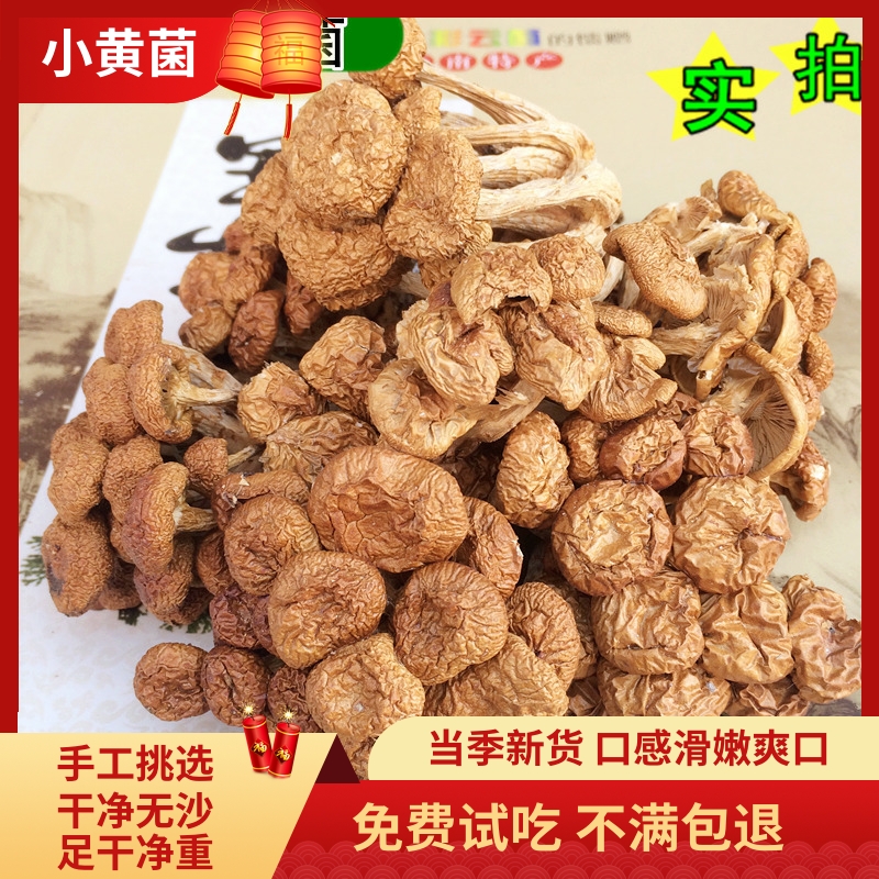 云南滑子菌滑子菇干货鸡油菌香菇蘑菇野生菌小黄蘑100g包邮鹅蛋菌