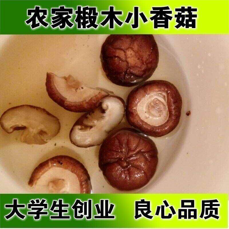 椴木香菇干货100g 珍珠小香菇蘑菇金钱菇野生菌云南特产包邮 香菇
