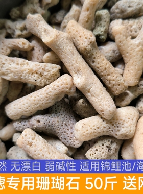 大块珊瑚石50斤锦鲤鱼池过滤材料海鲜池滤材珊瑚骨天然珊瑚石过滤