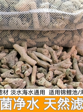 50斤珊瑚石滤材锦鲤鱼池过滤材料天然珊瑚骨海鲜池过滤大块珊瑚石