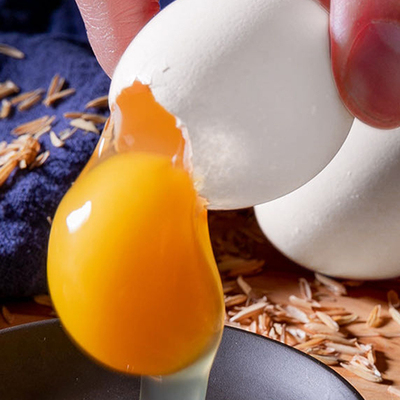 连城白鹭鸭蛋 农家生态散养新鲜鸭蛋  无腥味天然营养土鸭蛋礼盒