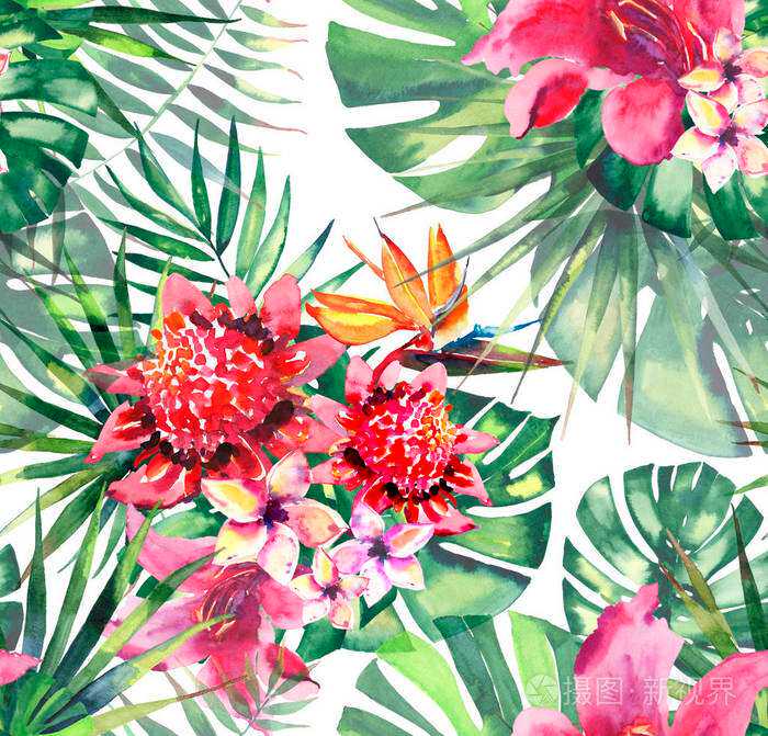 【画画手绘设计】逸灰