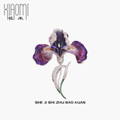 你 花园神秘紫色鸢尾花胸针独特水晶闪耀别针衣服点缀饰品女礼物