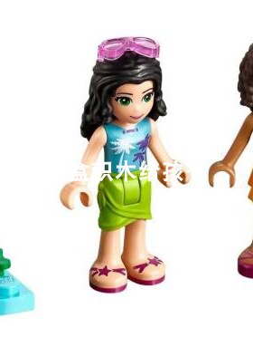 乐高 LEGO 人仔 41316 frnd208 frnd209 + 海龟6028753 + 场景