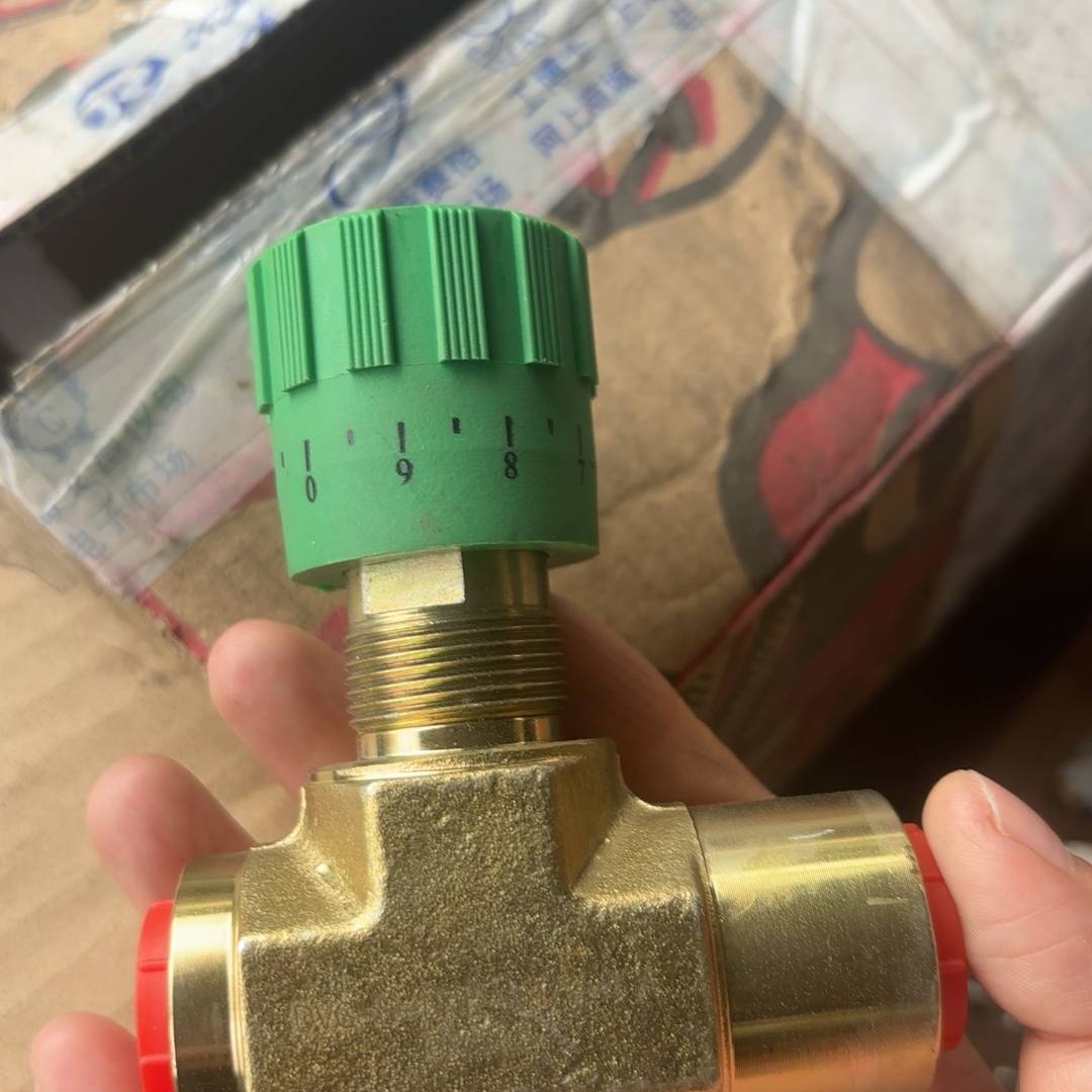 依格流体DVG单向节流阀DV议价 也可为维修！！
