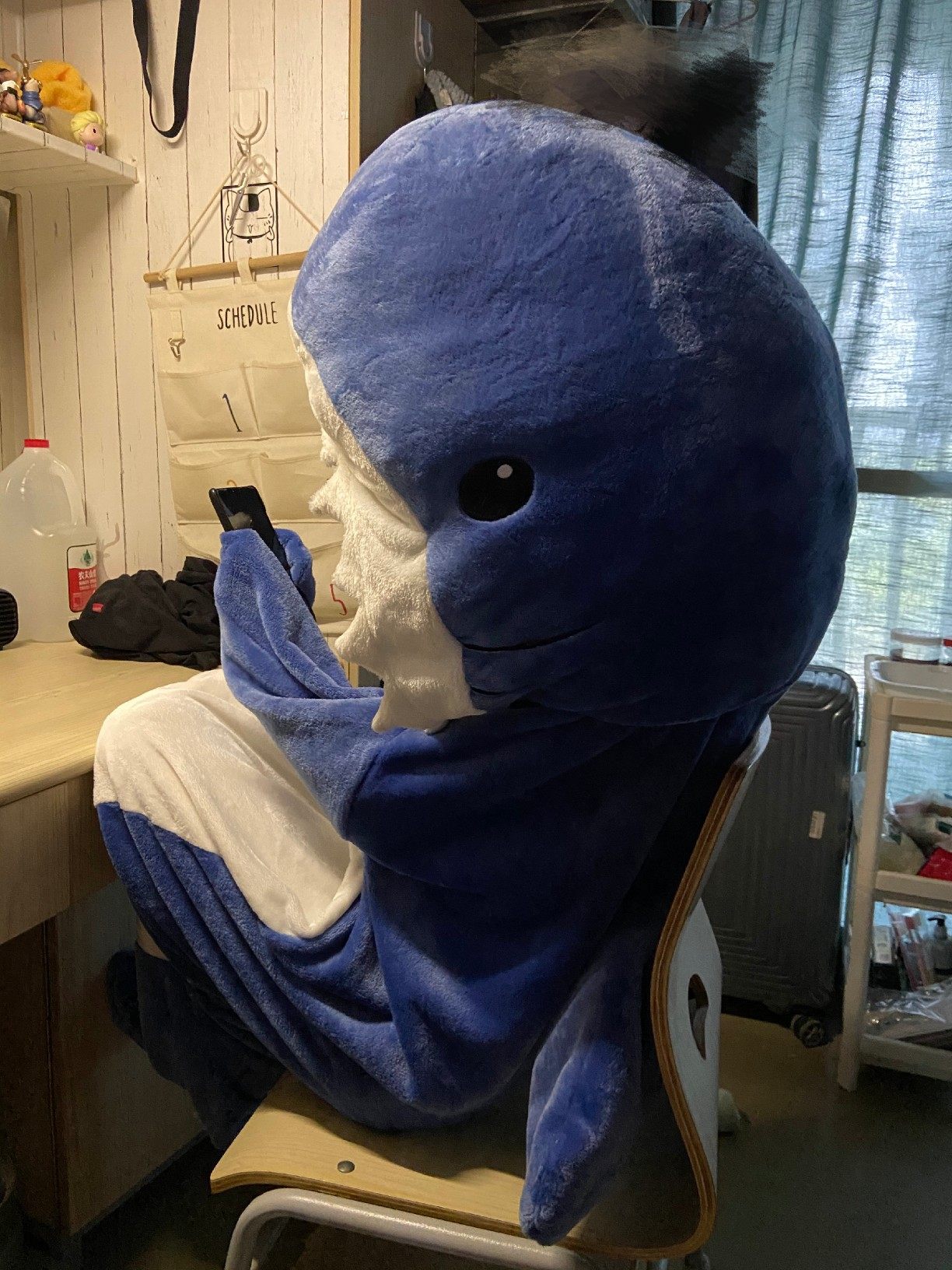 仲花家大头鲨鱼睡衣睡袋午睡毯子单人宿舍学生加厚保暖法兰绒,女士内衣/男士内衣/家居服,睡衣/家居服套装,淘宝优惠券,粉丝福利购,淘宝优惠卷