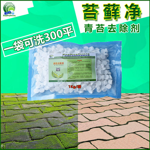 石头台阶人行道花园庭院子砖墙地面绿苔藓净青苔清除去除清洗剂 - 封面