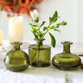 北欧ins风小清新绿萝水培鲜花玻璃瓶洗手台餐厅摆件装 饰民宿插花