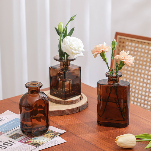 客厅茶色鲜花插花玻璃轻奢简约