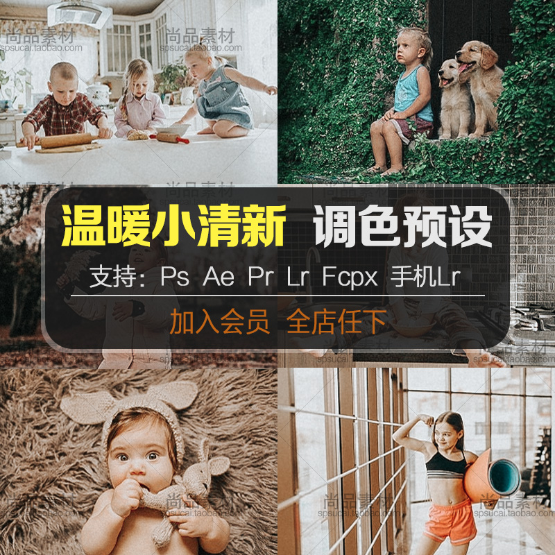 ins小清新Lr预设日系ps调色滤镜pr/fcpx/ae/lut/手机调色设计素材