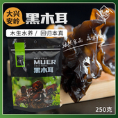 珍贵美味特产 绿然 大兴安岭黑木耳250g干货 耐泡Q弹好吃山货