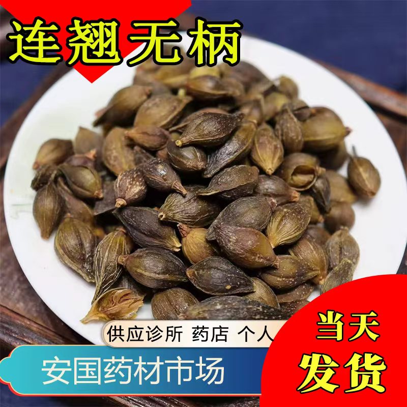 无柄青翘山西连翘新货颜色好