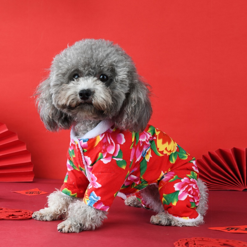 宠物盘扣花棉袄棉衣泰迪比熊柯基