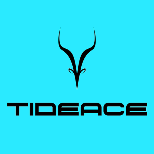 TIDEACE泰迪斯logo 标效果选择