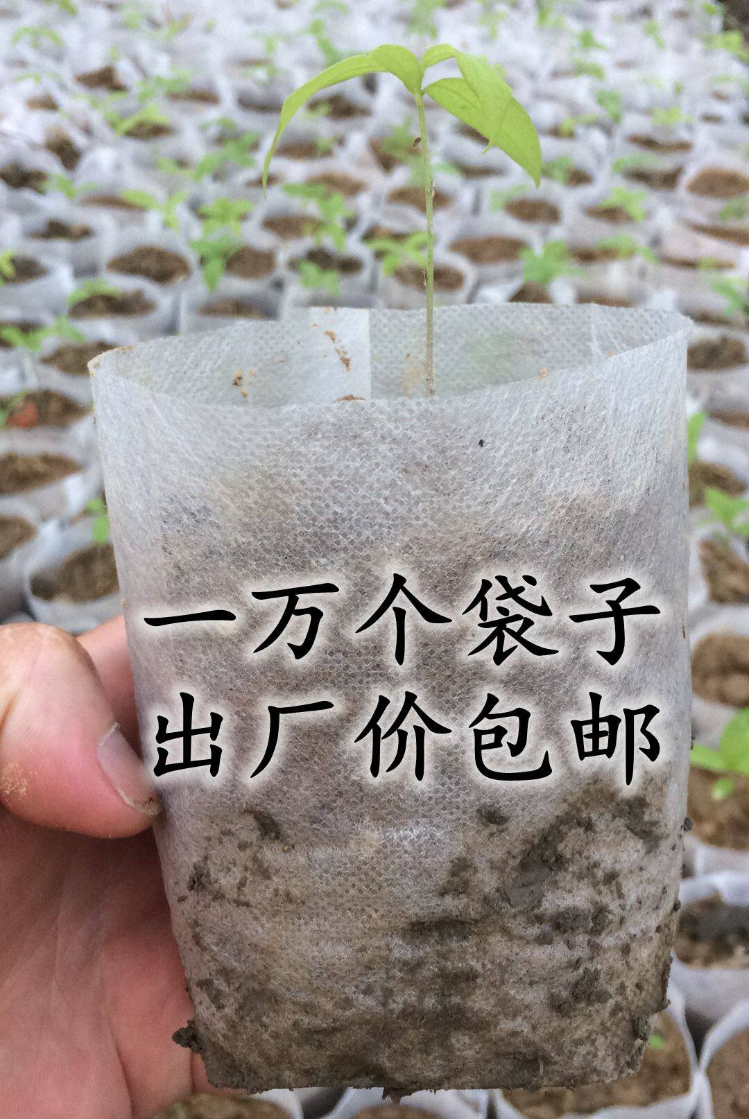 一万个包邮环保可降解无纺布育苗袋树苗袋种植袋提高成活率布袋