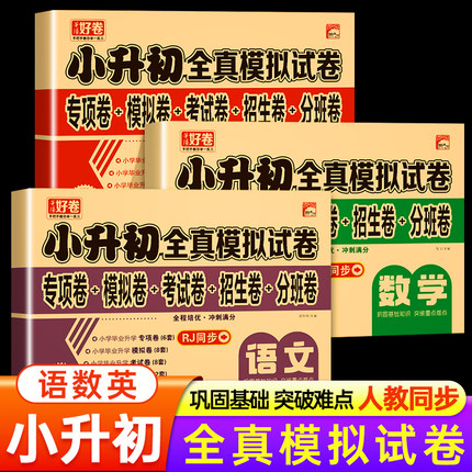 2026小升初真题卷语文数学英语必刷题人教版小学毕业升学总复习资料六年级下册试卷测试卷全套练习册名校模拟期末专项训练卷子2025