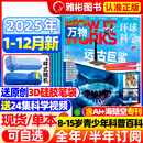半年订阅 半年珍藏 12月新 works好奇号博物过期刊 中小学生科普百科How 全 音频环球科学中文版 万物杂志2025年1 送硅胶笔袋