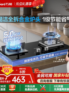 [政府补贴]万和官方猛火燃气灶煤气家用双灶天然气液化气灶具B6L