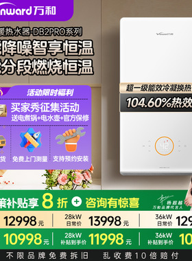 万和 燃气壁挂炉DB2Pro家用天然气采暖壁挂地暖锅炉热水器