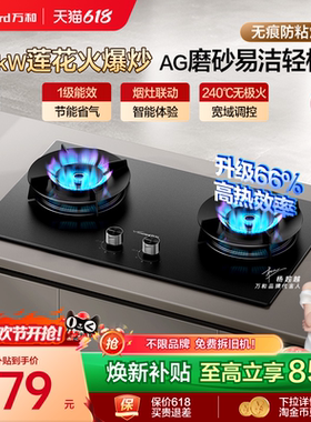 [焕新补贴]万和燃气灶煤气灶家用双灶天然气液化气台嵌灶具灶台C7