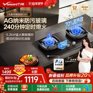 [品牌补贴]万和猛火燃气灶家用双灶定时天然气台嵌两用灶具炉灶G9