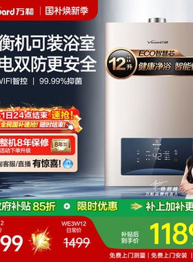[政府补贴] 万和天然气液化气12升恒温节能平衡式燃气热水器WE3