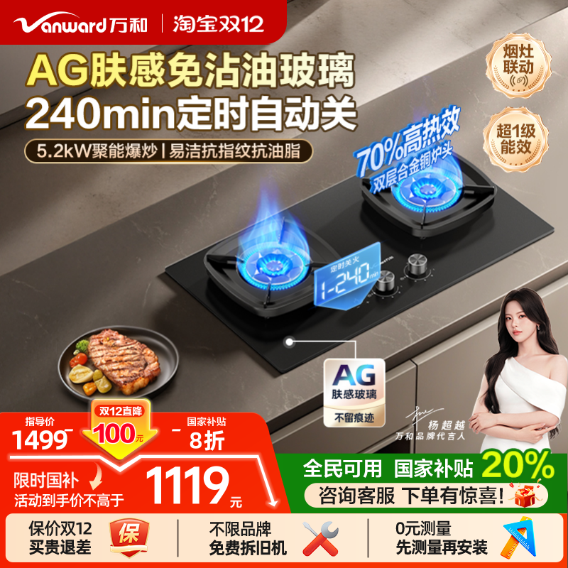 [政府补贴]万和猛火燃气灶家用双灶定时天然气台嵌两用灶具炉灶G9
