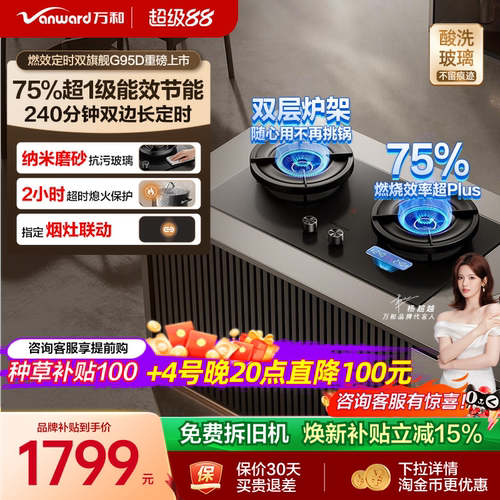 [75%热效之巅]万和双定时燃气灶煤气灶家用双灶天然气无痕G95D