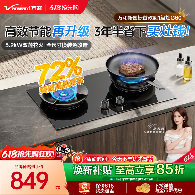 [焕新补贴]万和定时燃气灶煤气灶家用双灶G9D天然气液化气炉灶G