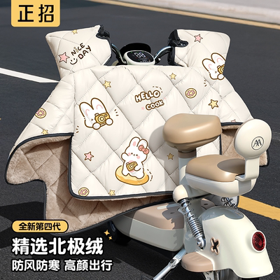 小型电动车挡风被冬2025新款加厚