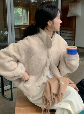 韩国chic复古休闲慵懒风保暖立领单排扣小个子羊羔毛外套女