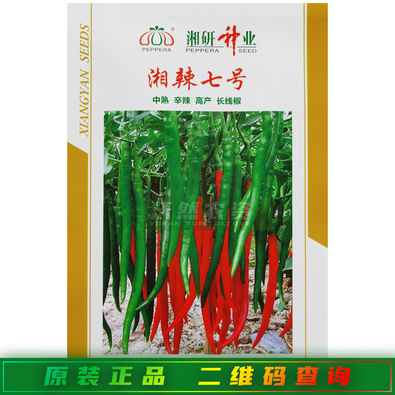 湘研湘辣七号辣椒种子 中熟长线椒种籽 小叶青红两用线椒尖椒种孑