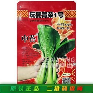 中苔玩夏青菜1号上海青种籽抗热甜脆青菜种子30天上市快菜春夏播