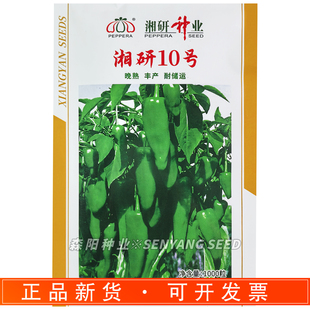 湘研10号辣椒种子晚熟抗病丰产耐储运大牛角型青椒种籽四季蔬菜