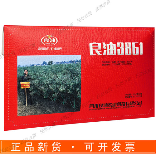 良油3861油菜种子甘蓝型冬油菜