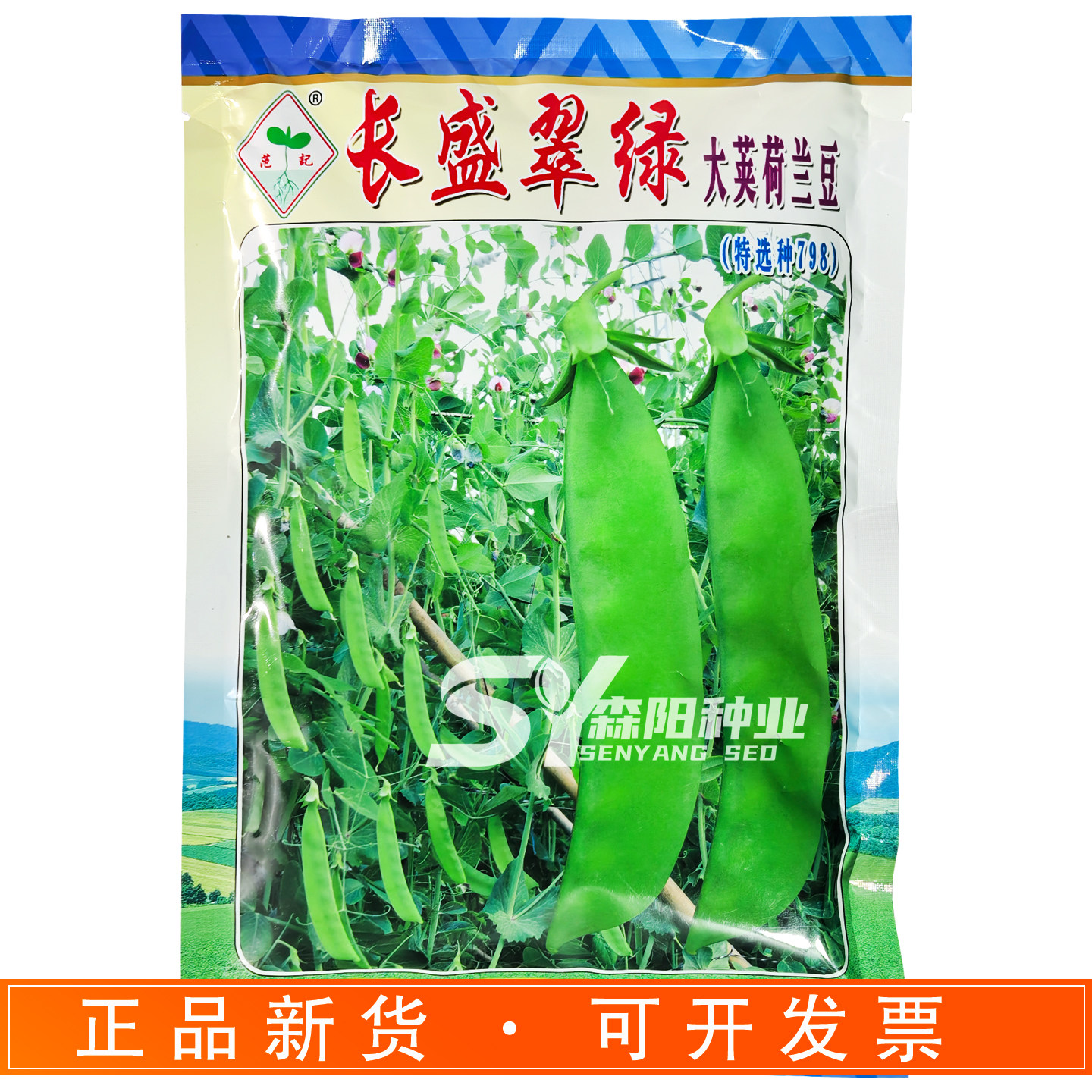 范记长盛荷兰豆种子高产抗病图片