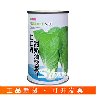 时田口口香甜奶油快菜种子真好吃杂交白菜速生小白苗菜绿色蔬菜籽