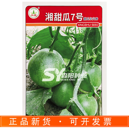 湘甜瓜7号早熟高产香瓜种子