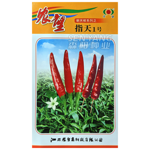 农望指天一号辣椒种子杂交单生朝天椒种籽干鲜两用辣味强泡辣椒种
