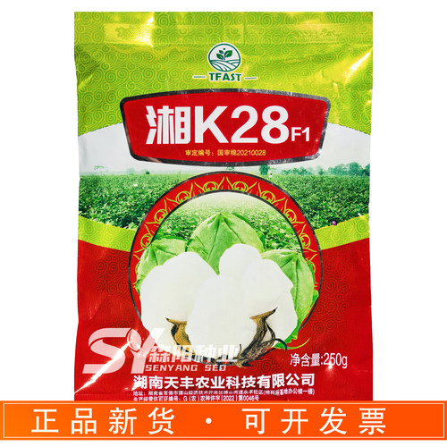 国审中熟杂交高产吐絮畅棉花种子