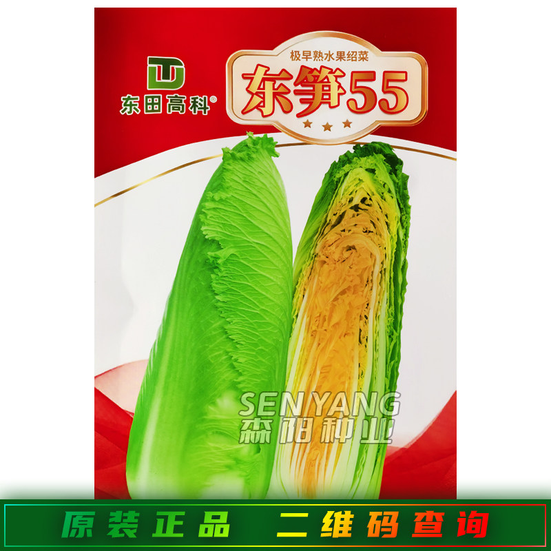东笋55白菜种子极早熟水果型包尖图片