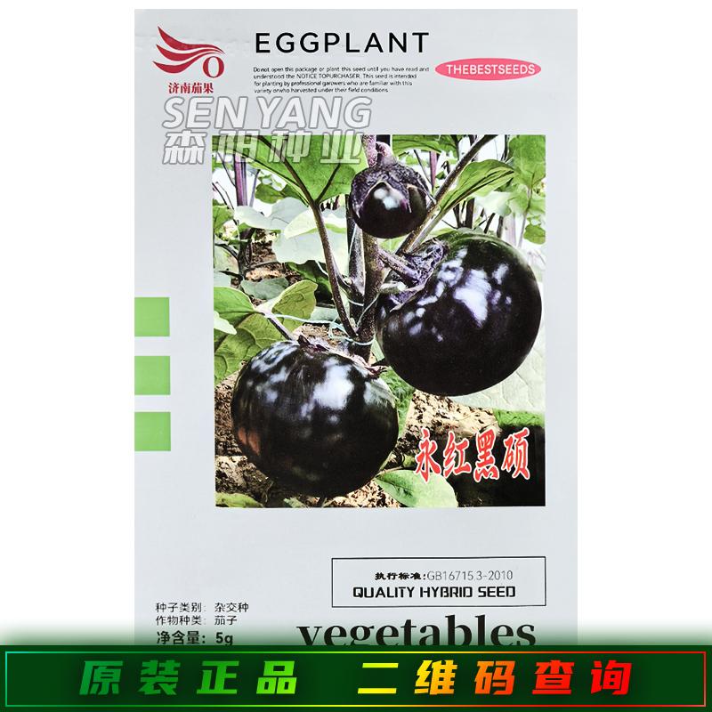 永红黑硕茄子种子油亮绿肉高产