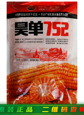 昊单752玉米种子大棒籽粒黄色果穗圆筒形春播大田饲料玉米粘包谷